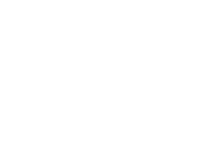 Dans-Icon