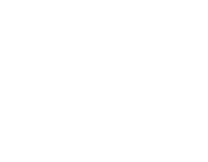 Quiz-Icon
